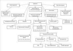 Схема структурных подразделений (органов управления)